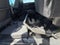 2024 GMC Sierra 3500 HD AT4