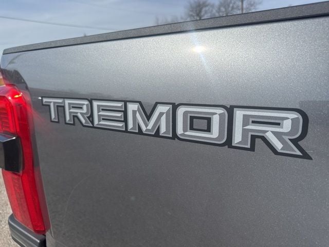 2025 Ford F-250SD Platinum