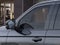 2026 Ford Expedition Max Platinum Retail